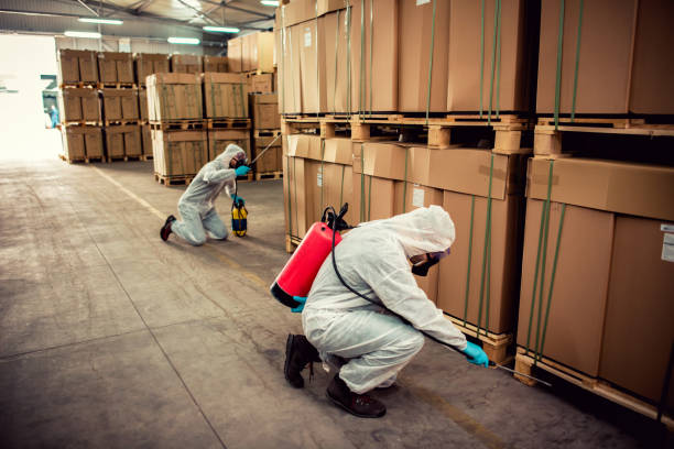 Best Emergency Pest Control  in Sparta, MO