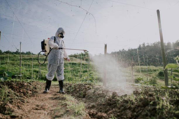 Best Mosquito Control Services  in Sparta, MO