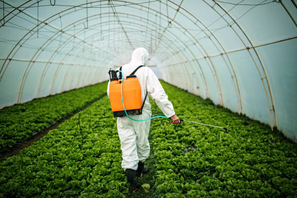 Best Pest Prevention Services  in Sparta, MO