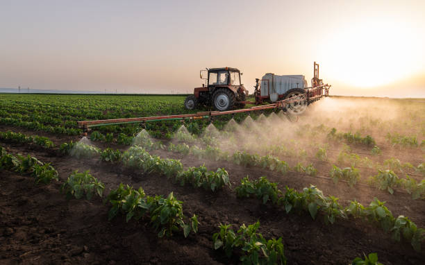 Pest Control Cost in Sparta, MO