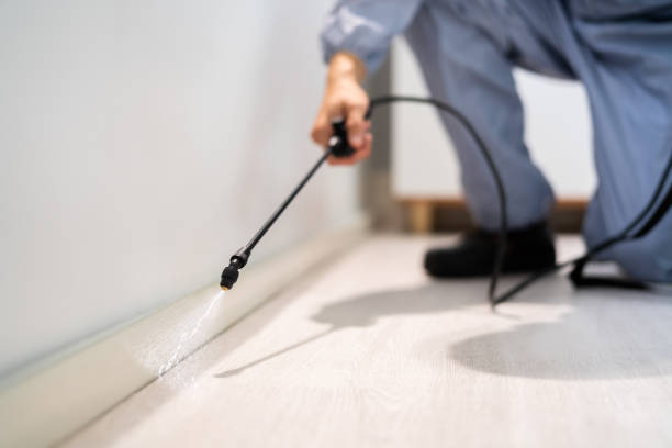 Best Pest Removal Services  in Sparta, MO