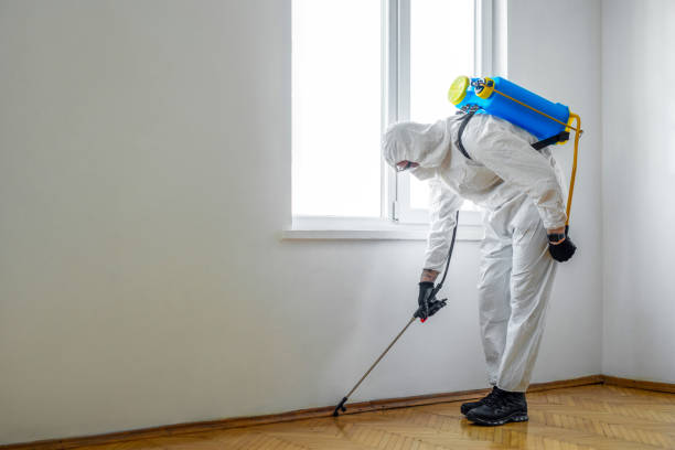 Professional Pest Control in Sparta, MO