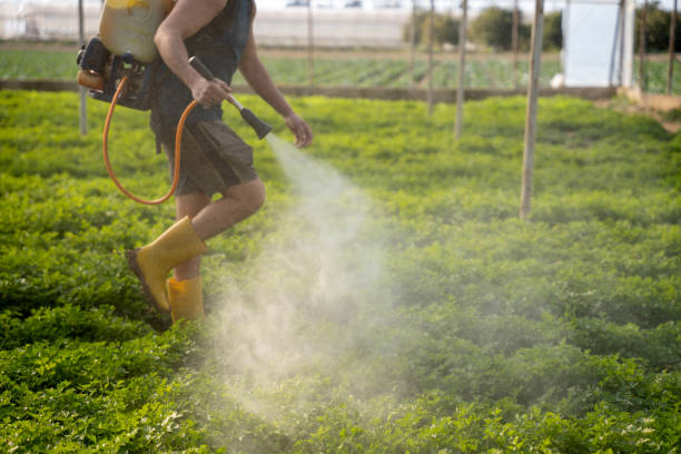 Best Affordable Pest Control Services  in Sparta, MO