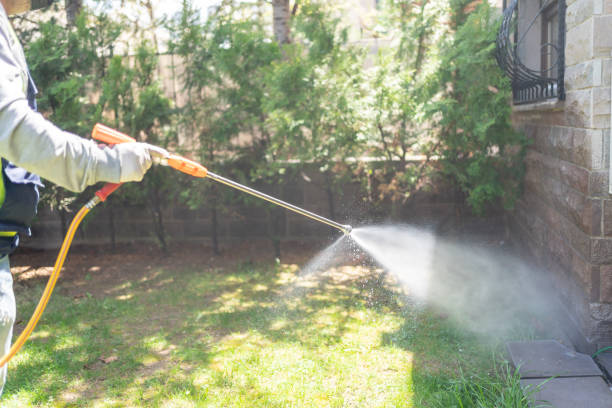 Best Wasp Removal Services  in Sparta, MO