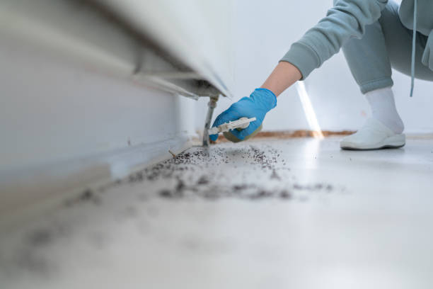 Best Residential Pest Control  in Sparta, MO