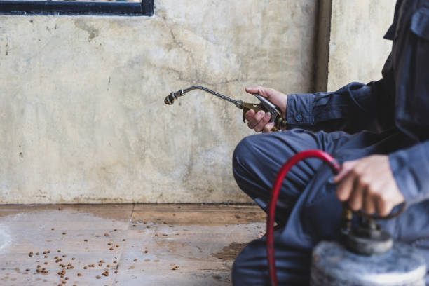 Best Pest Control Cost  in Sparta, MO
